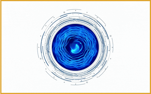 gif of PMMC's xact calculation engine